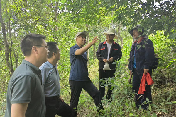 281682664504134701.jpeg 3.jpg